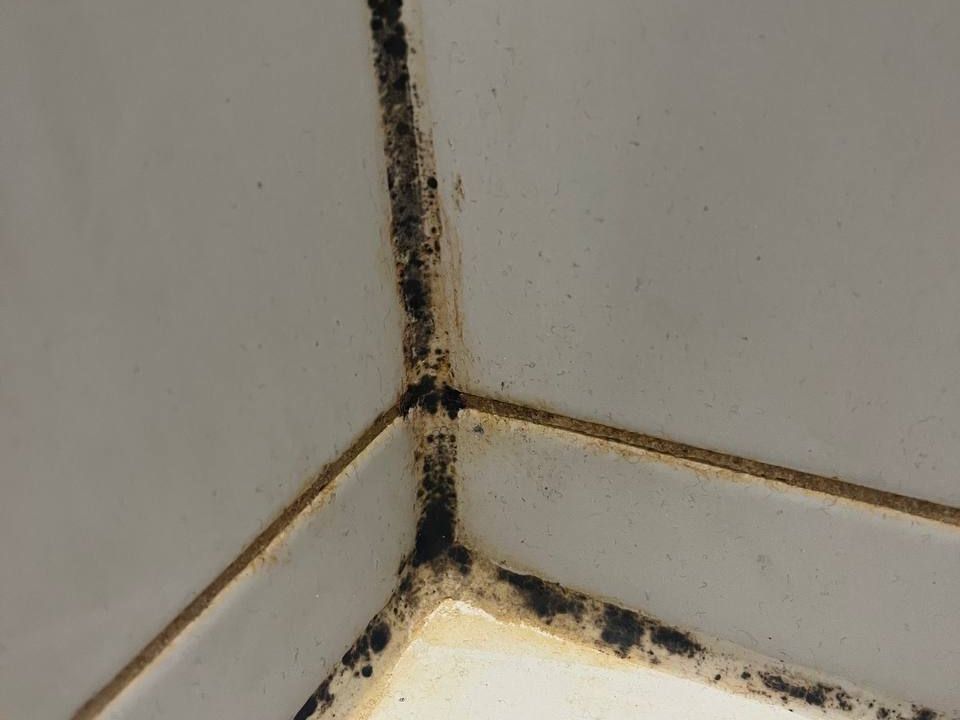 Schwarz verschimmelte Silikonfuge in der Ecke eines Bads zwischen weißen Fliesen